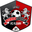 Logo Football club Fleury 91